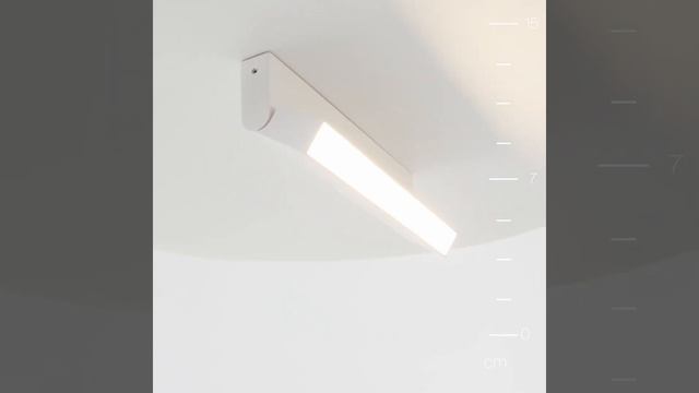 Светильник потолочный Maytoni Basis Rot C133CL-12W3K-W