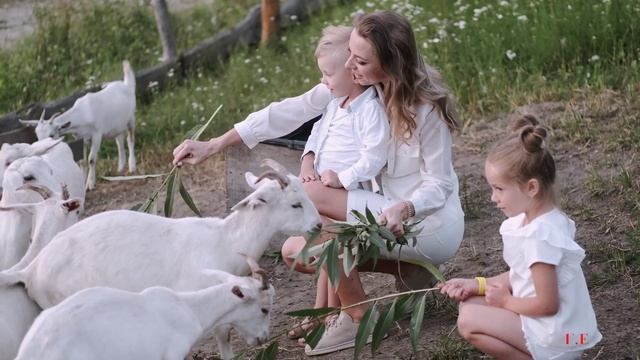 2441386199719 смотреть онлайн