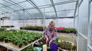 КАКИЕ ПРОЛОНГИРОВАННЫЕ УДОБРЕНИЯ Я ИСПОЛЬЗУЮ.