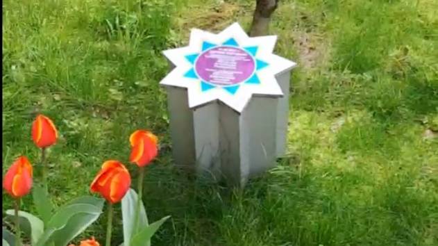 Обзор Аллеи космонавтов парка "Южные культуры" смотреть онлайн