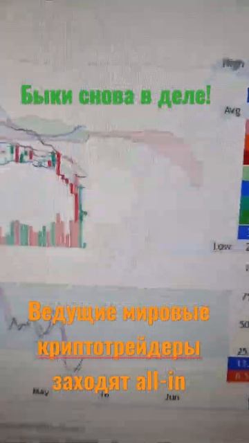 Криптовалюты. Страх и жадность. Огромный риск потерят? смотреть онлайн