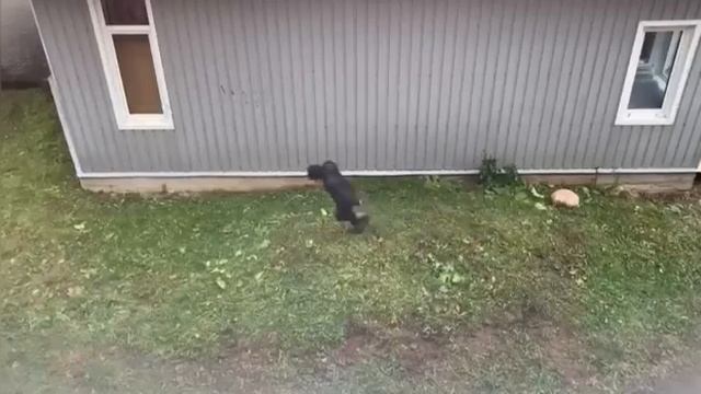 2 сезон 1 серия смотреть онлайн