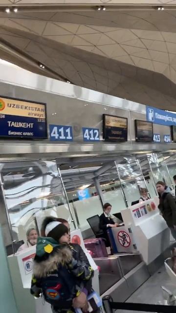 Билет нарви 6500₽ #sanktpetersburg #aviakassa #авиабилет #pulkovo #uzbekistan смотреть онлайн