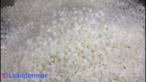 Машина для нарезки кубиком свежего\ подмороженного продукта  Leaddenmar Dicer L4000