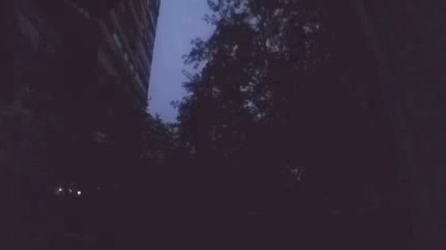 Рассвет Xiaomi Yi