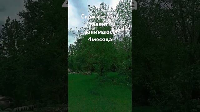 Скажите пожалуйста есть талант занимаюсь 4месяца смотреть онлайн