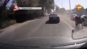 Водить по русски. Выпуск 157