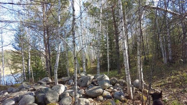 Пошли в лес за грибами и нашли загадочное место. Жизнь в деревне после переезда. смотреть онлайн