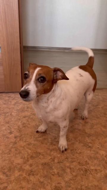 На аптека.ру сейчас скидки на Рикотиб до -20% смотреть онлайн