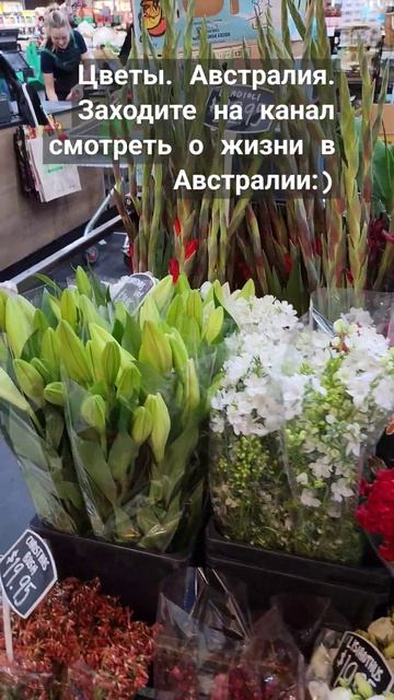 Добро пожаловать на мой канал о жизни в Австралии смотреть онлайн