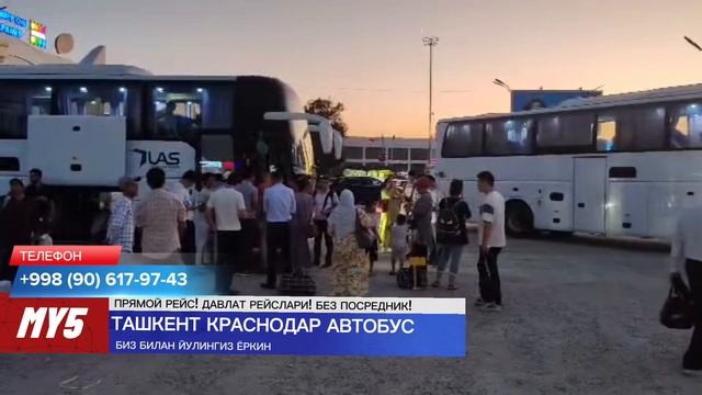 краснодар ташкент автобус. krasnodar tashkent avtobus #krasnodar #tashkent # смотреть онлайн