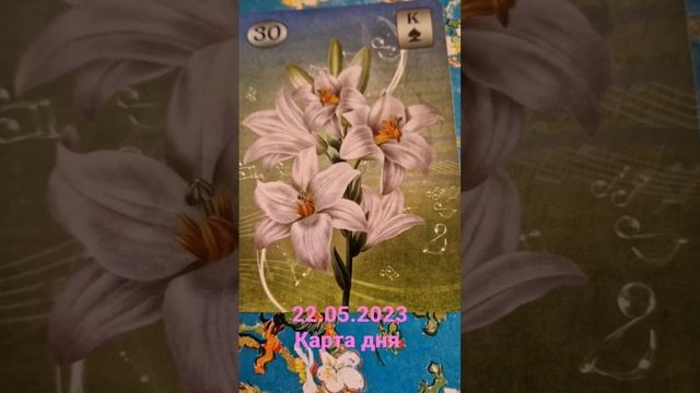 #сегодня #май #2023 #карта #дня #лилии #хорошо #приобретать смотреть онлайн