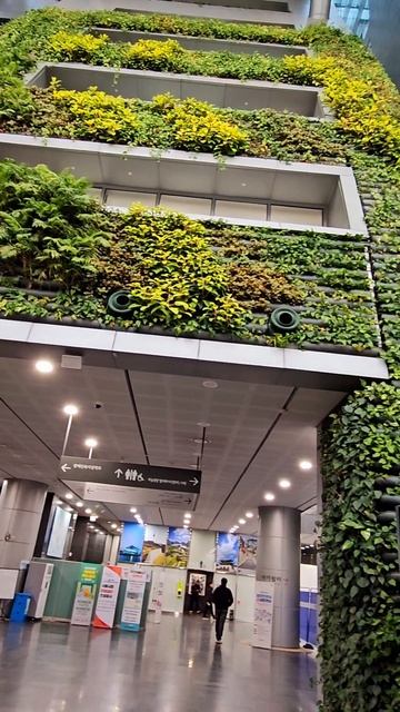 Вертикальный сад, Городская мэрия, Сеул смотреть онлайн