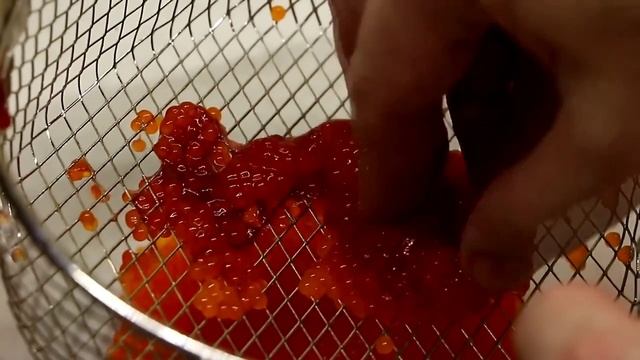 Всё обо всём