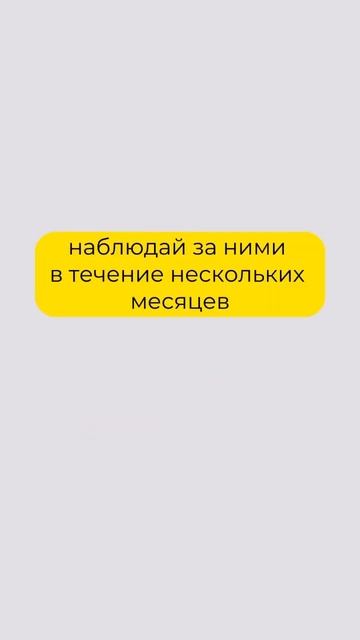 Этапы финансового анализа или как понять, что в твоем ?