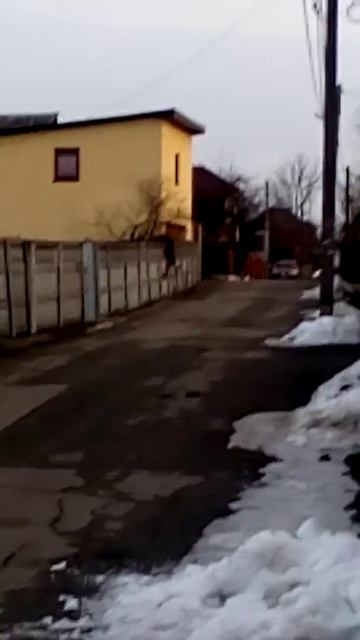 Собака перелезла через забор!!! смотреть онлайн