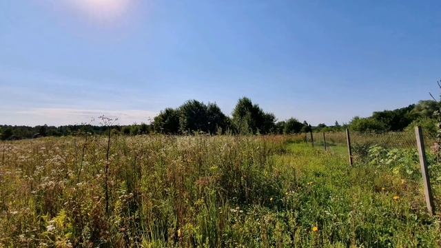 Продаётся земельный участок в д. Веселёво