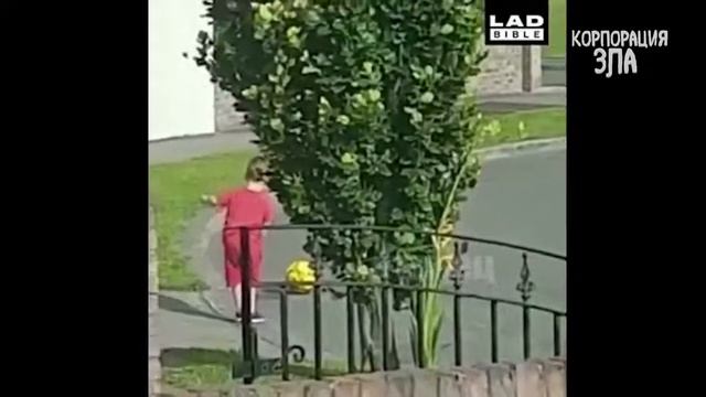 Видео для детей  ПРИКОЛЫ С ДЕТЬМИ 2017 ¦ Смешные дети ¦¦ Funny Kids Videos #1