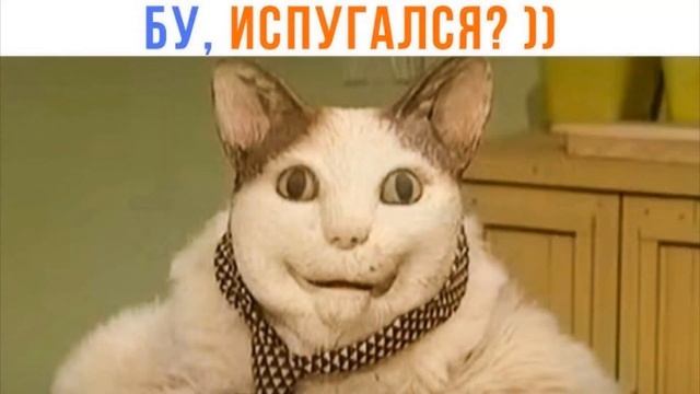 Я УВОЛИЛСЯ С РАБОТЫ И УШЕЛ ФУЛЛ-ТАЙМ В КРИПТУ