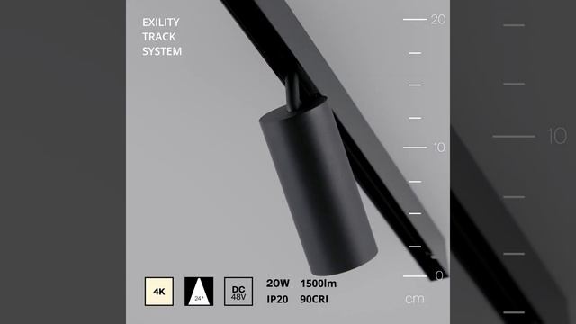 Светильник Maytoni TR032-2-20W4K-S-B