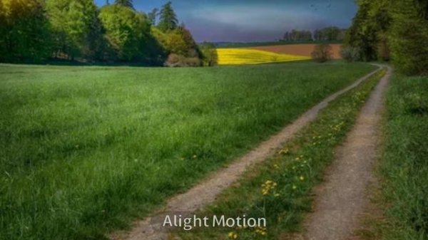 || MEME Warrior Cats || first MEME || The Final Exodus ||