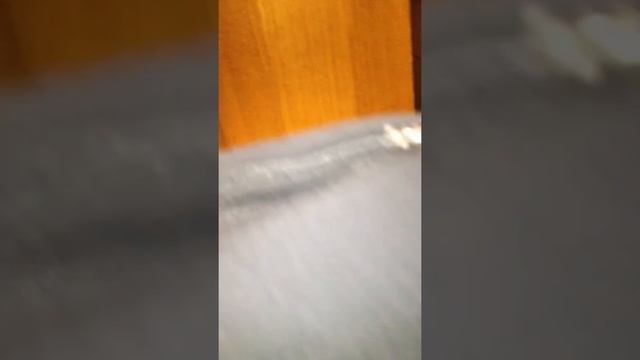 Сложности перевода в белорусском туалете смотреть онлайн