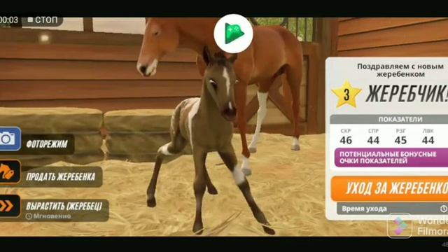 выведение редких ген Rival Stars смотреть онлайн