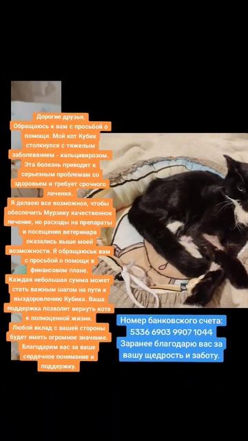 5336! 6903! 9907! 1044 СБЕРдаже 1 рубль для меня навес золота смотреть онлайн