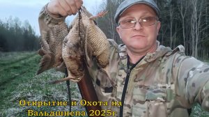 Открытие и охота на Вальдшнепа 2025г