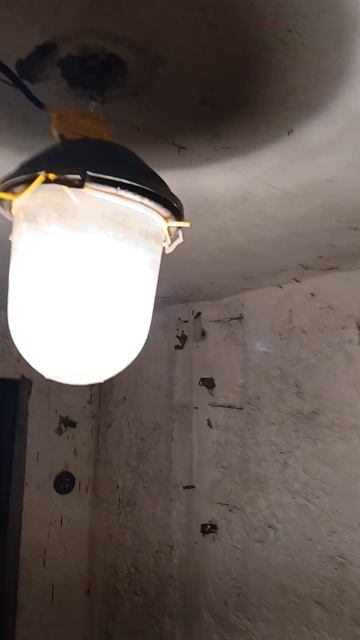 #свет нсп 02 нср 01 смотреть онлайн