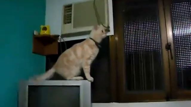 Нарезка #1 приколы 2014 года ржач смотреть онлайн