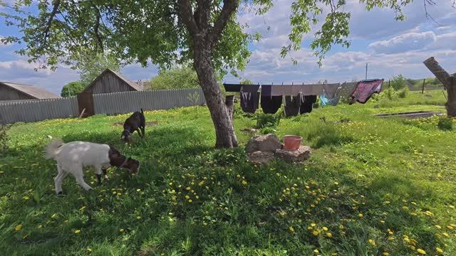 Все может измениться смотреть онлайн