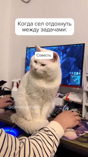 А вас мучает совесть, когда вы ничего не делаете?