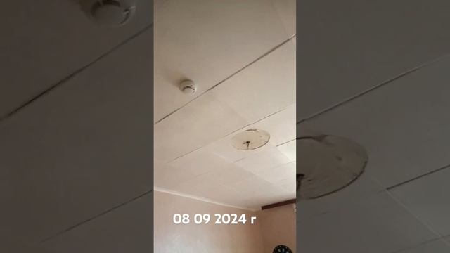 Валерон блогер купил себе два новых светильника в зал