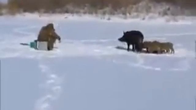 приколы на рыбалке смотреть онлайн