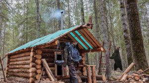 МЕДВЕДЬ ИДЁТ ПО ПЯТАМ. СЛУЧАЙ В ТАЙГЕ В ПОИСКАХ ГЛУХАРИНОГО ТОКА.