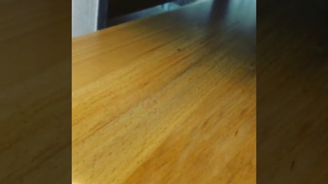 Матовый лак после высыхания смотреть онлайн