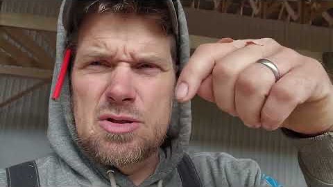 Канадская семья в НН.. Check THIS OUT!!! Build your own WINDOWS! смотреть онлайн