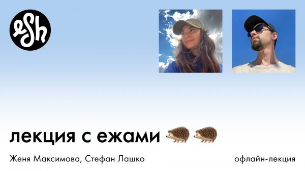 Лекция с ежами. ESH gruppa в гостях у Dotorg