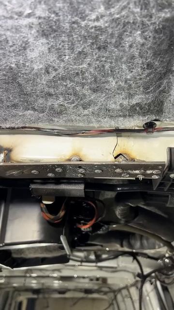 Financial Analysts Show