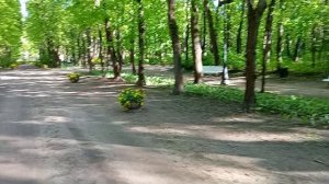 Нескучный сад. Прогулка по историческии аллеям сада, хорошее место для отдыха.Парк Горького Москва