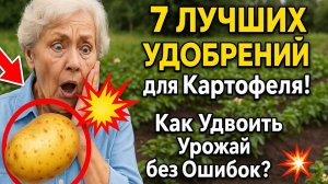 7 ЛУЧШИХ УДОБРЕНИЙ для Картофеля! Как Удвоить Урожай без Ошибок? 🥔💥