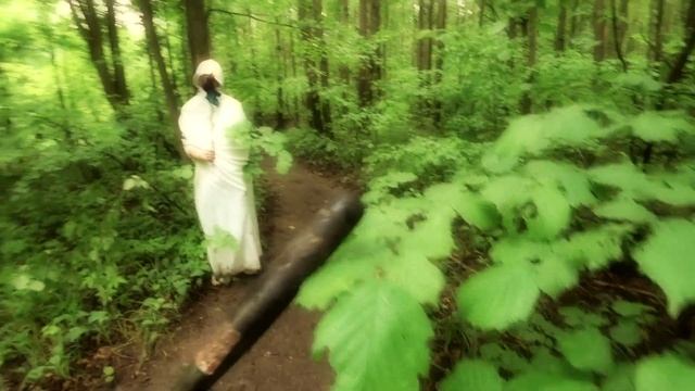 ЗАМАНИЛИ В СЕКТАНТСКИЙ ЛЕС. ТАЙНАЯ РЕЛИКВИЯ СЕКТАНТОВ смотреть онлайн