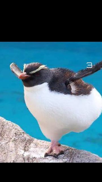 5 необычных фактов, которые даже ваша бабушка не знает смотреть онлайн