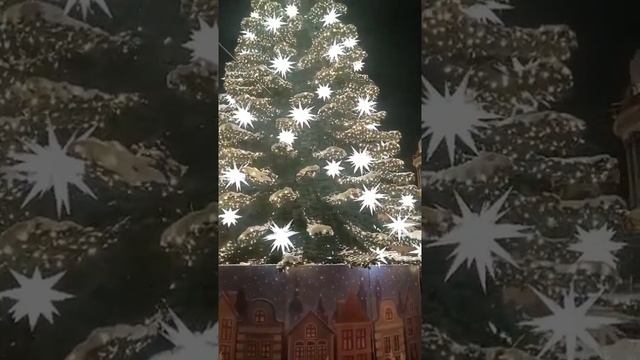 САНКТ-ПЕТЕРБУРГ ЕЛКА-🌲🌲🌲🌲❄️❄️❄️❄️☕️☕️☕️? смотреть онлайн