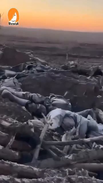 Потрепали в Сумской области хохлотварей смотреть онлайн