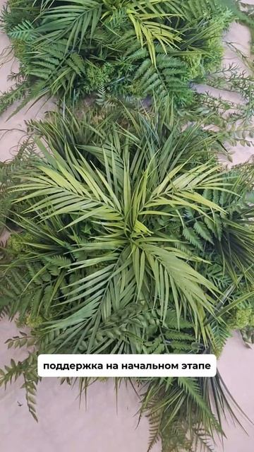 🍀 Научу делать фитостены за 150000₽! Окупаемость месяц. смотреть онлайн