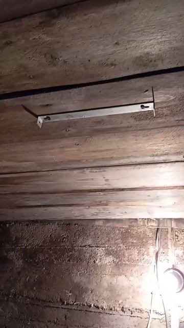 Обрастая люстрою. 9 ноября 2024 г.