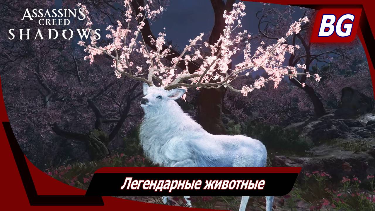 Assassin's Creed Shadows ➤ Легендарные животные смотреть онлайн