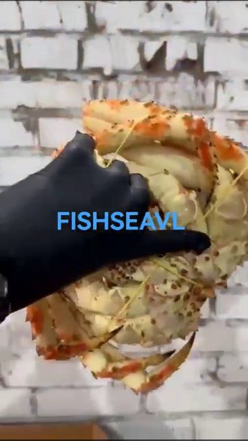 краб подарочный. FISHSEAVL.RU РЫБНОЕ МОРЕ ВЛАДИВОСТОК смотреть онлайн